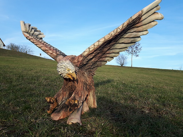 Adler, Mammutbaum, 220 cm Spannweite