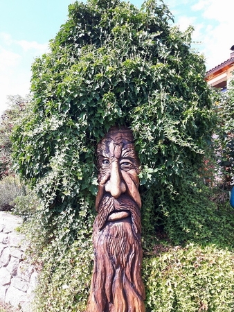 Buschmann , Eiche, 220 cm