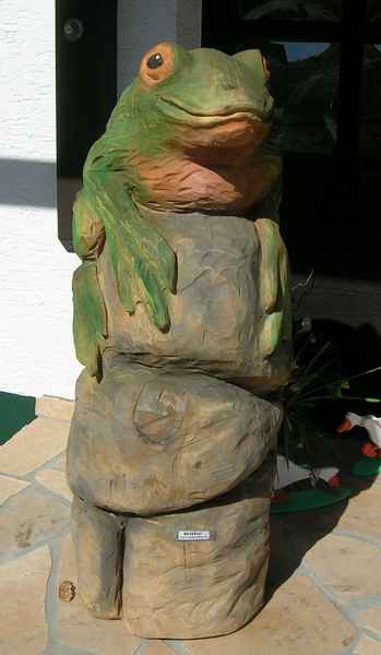 Frosch, Lrche, 140 cm