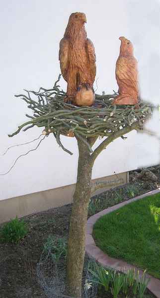 Adlerfamilie in Nest, Lrche