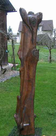 Symbiose, Wildkirsche, 180 cm