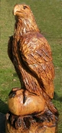 Adler, Lrche, 90 cm